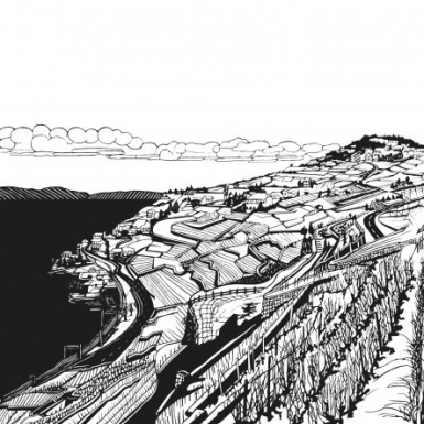 © H. Hartmann 02_vigne_de_papier01_rvb.jpg