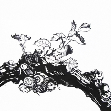 © H. Hartmann 02_vigne_de_papier03_rvb.jpg